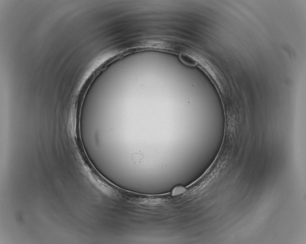 X0000112471131200908311344