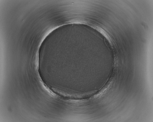 X0000112471132200908311344