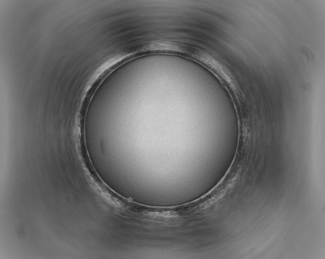 X0000112471133200908311344