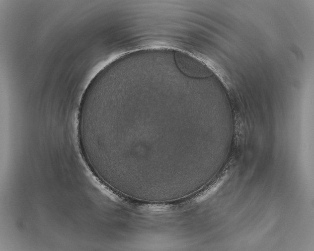 X0000112471134200908311344