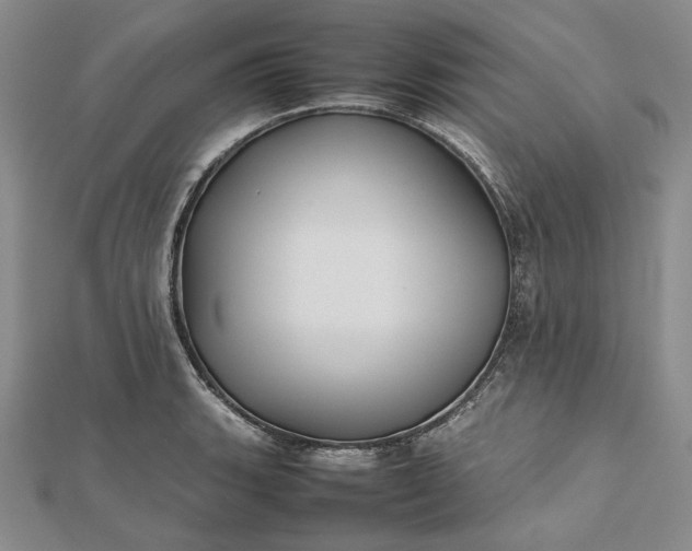 X0000112471135200908311344