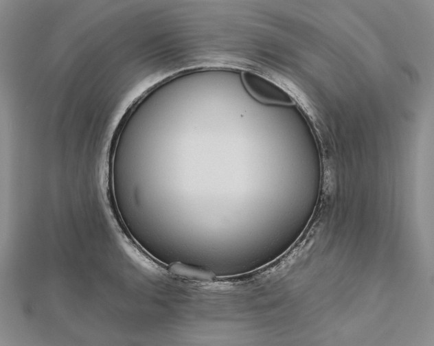 X0000112471136200908311344