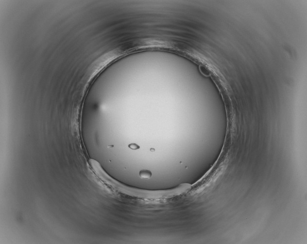 X0000112471137200908311344