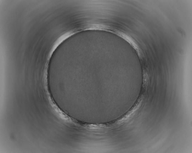 X0000112471138200908311344