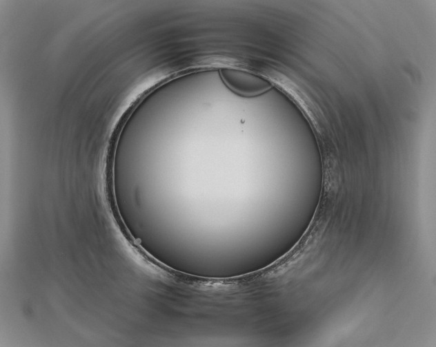 X0000112471139200908311344