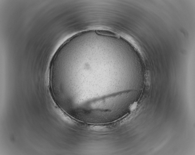 X0000112471140200908311344