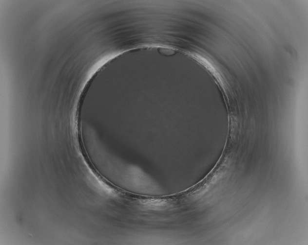 X0000112471141200908311344