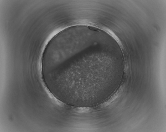 X0000112471144200908311344