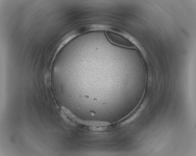 X0000112471145200908311345