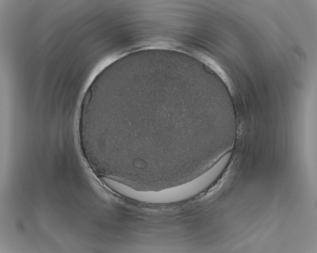 X0000112471146200908311345