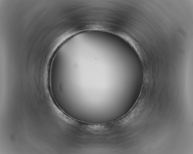 X0000112471147200908311345