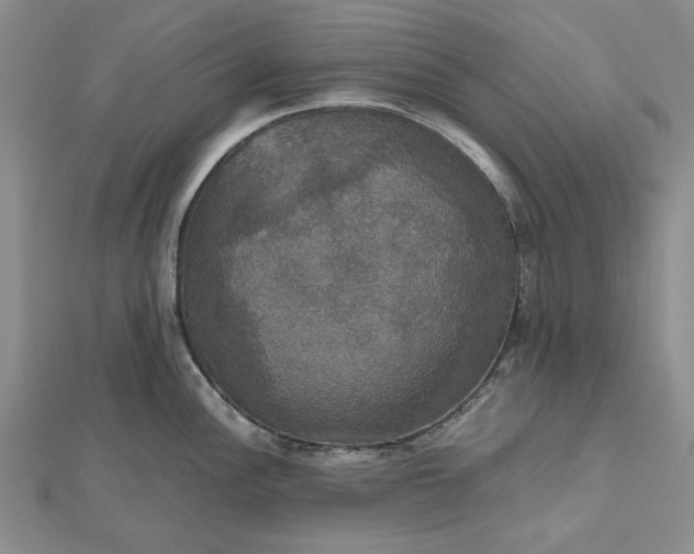 X0000112471148200908311345