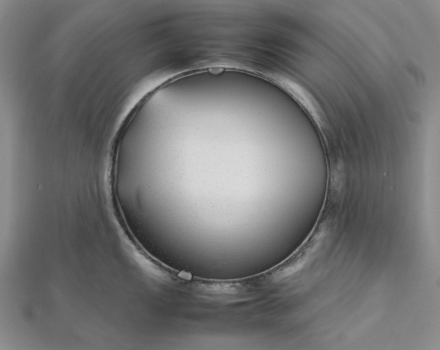 X0000112471149200908311345