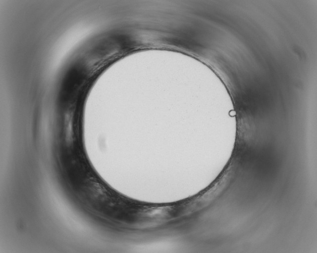 X0000112471150200908311345