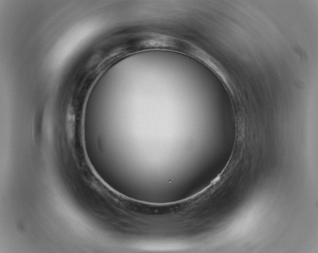 X0000112471151200908311345