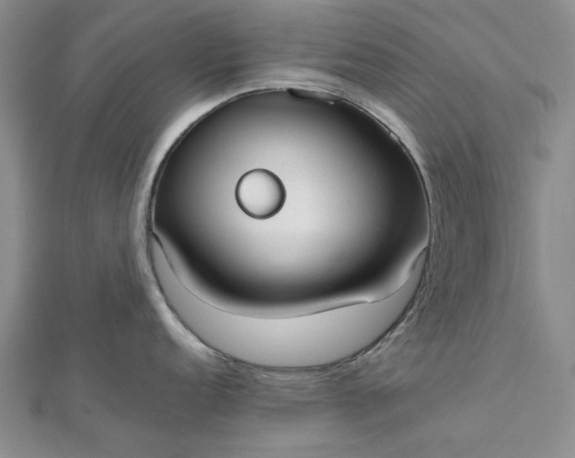 X0000112471152200908311345