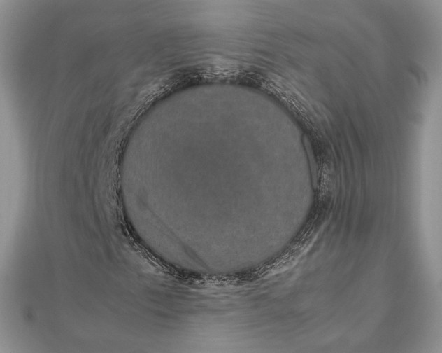 X0000112471153200908311344