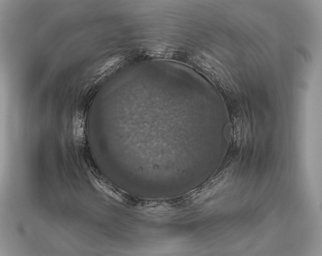 X0000112471154200908311344