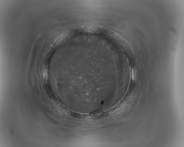 X0000112471155200908311344