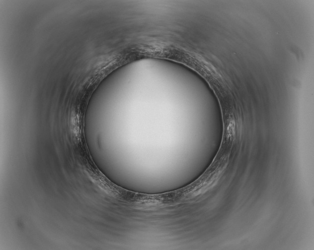 X0000112471156200908311344