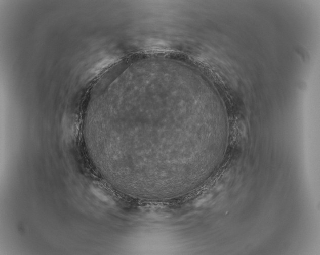 X0000112471157200908311344