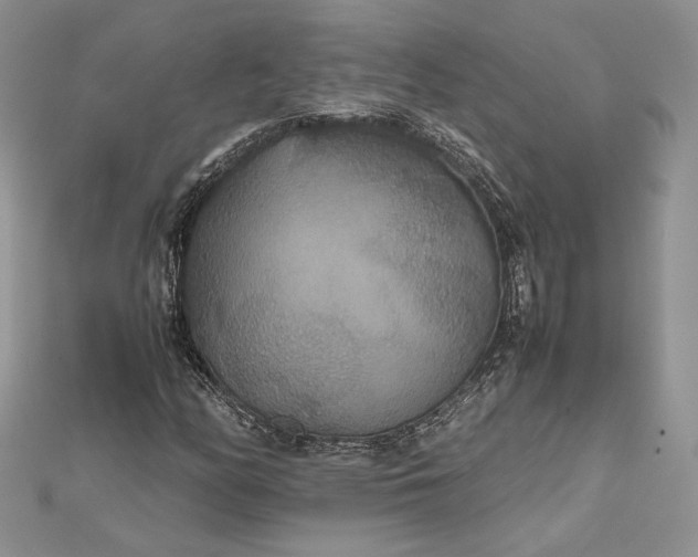 X0000112471158200908311344