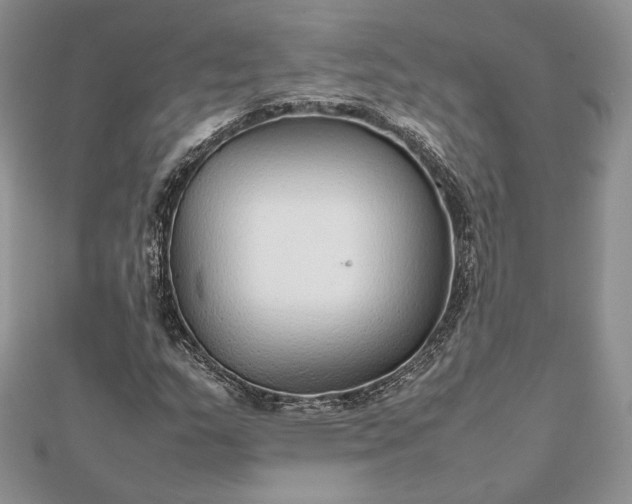 X0000112471159200908311344