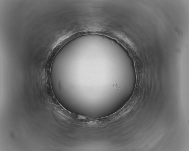 X0000112471160200908311344