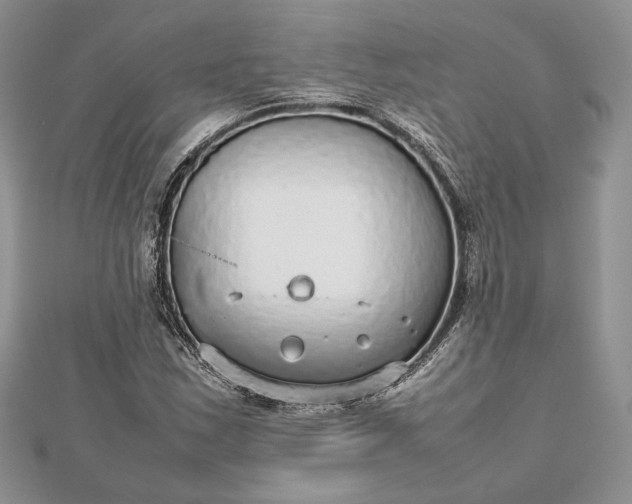 X0000112471163200908311344