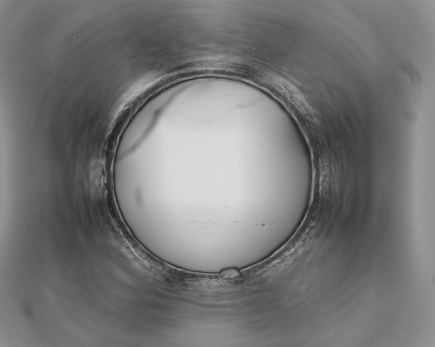 X0000112471164200908311344