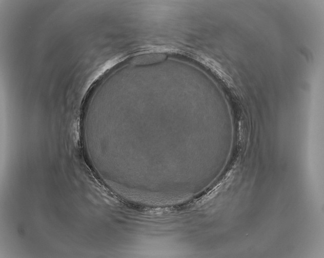 X0000112471165200908311344