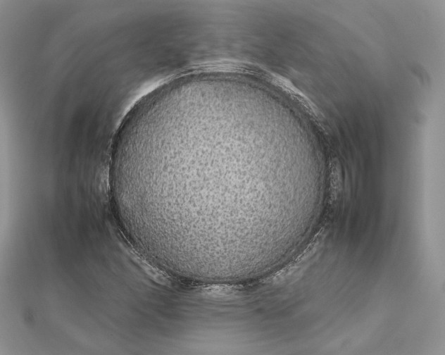 X0000112471166200908311344