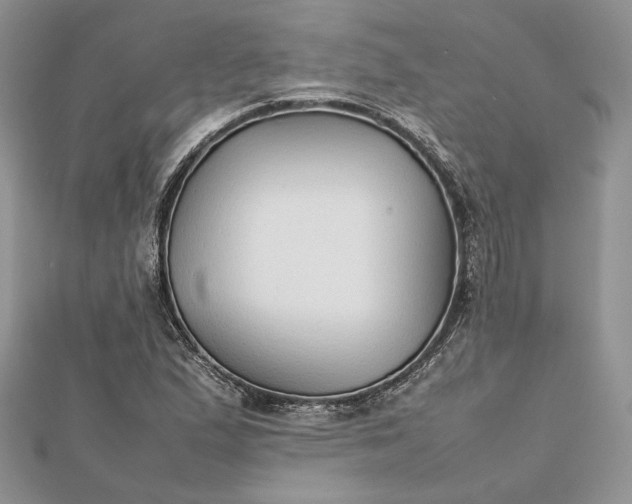 X0000112471167200908311344