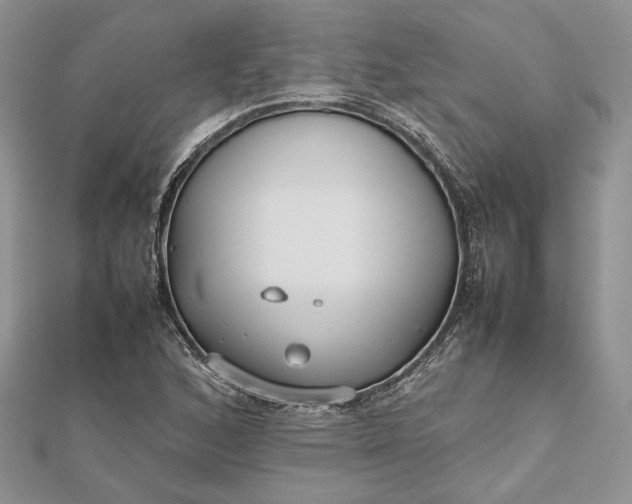 X0000112471168200908311344