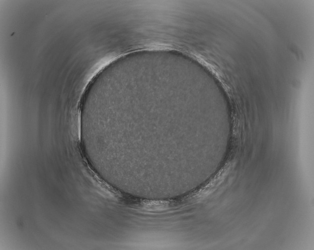 X0000112471171200908311344