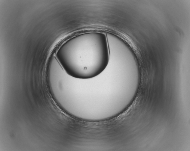 X0000112471172200908311344