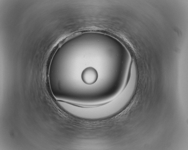 X0000112471173200908311344