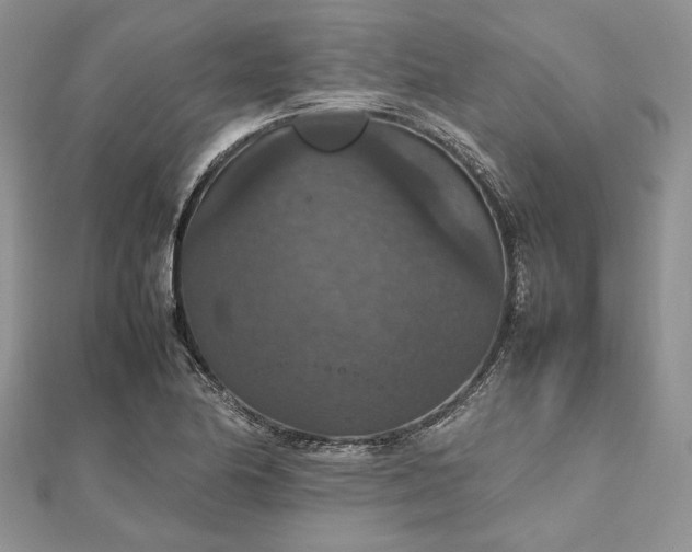 X0000112471174200908311344