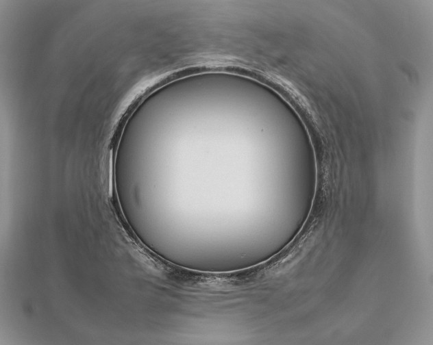 X0000112471175200908311344