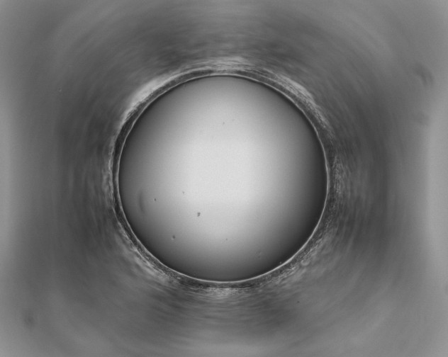 X0000112471176200908311344