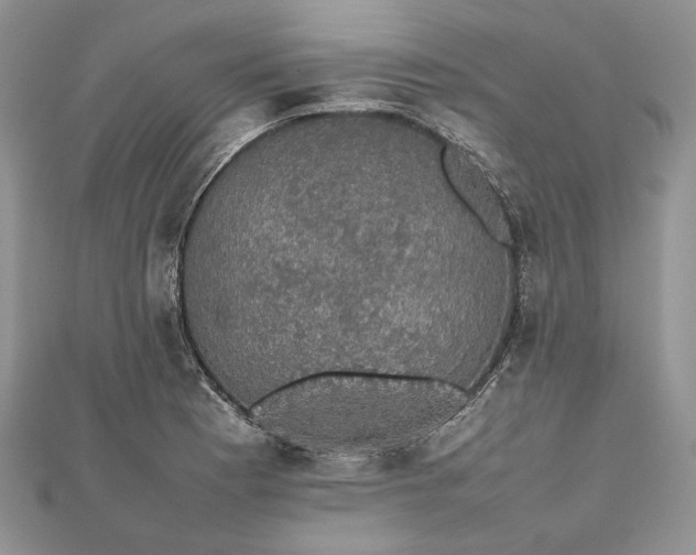 X0000112471177200908311344