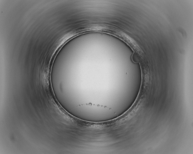 X0000112471178200908311343