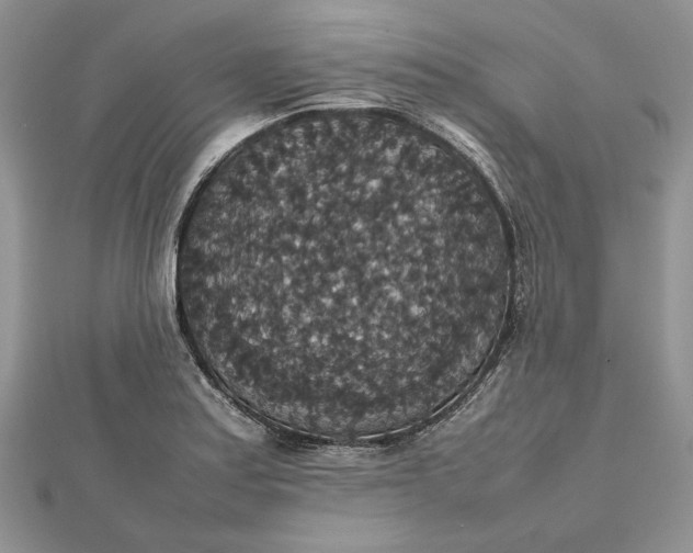 X0000112471179200908311343