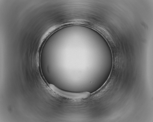 X0000112471180200908311343