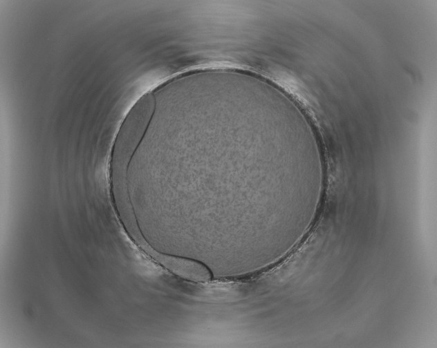 X0000112471181200908311343