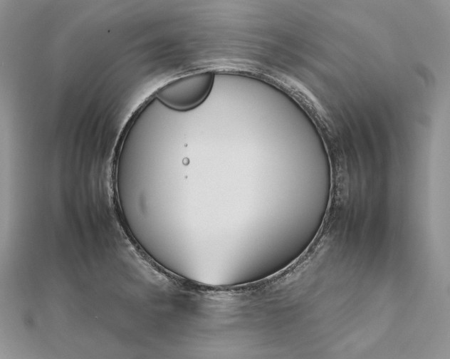 X0000112471182200908311343