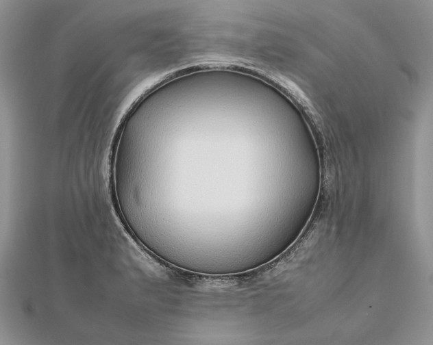 X0000112471183200908311343