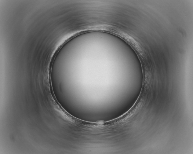 X0000112471184200908311343