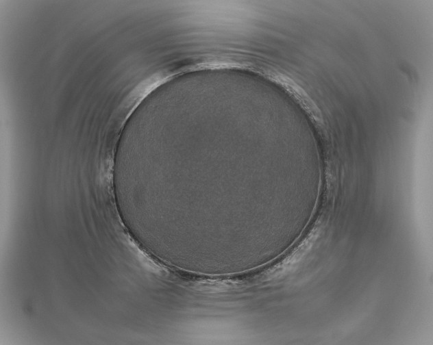 X0000112471185200908311343