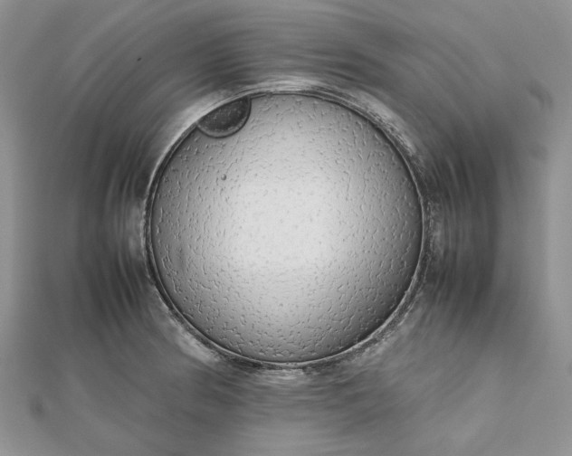 X0000112471186200908311343